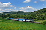 754 060-2, trať: 194 Černý Kříž - České Budějovice (Hořice na Šumavě), foceno: 24.07.2014