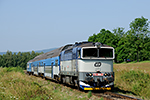 754 060-2, trať: 194 Černý Kříž - České Budějovice (Černá v Pošumaví - Karlovy Dvory), foceno: 25.07.2014