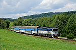 754 060-2, trať: 194 Černý Kříž - České Budějovice (Hořice na Šumavě), foceno: 08.08.2014