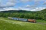 754 078-4, trať: 194 Černý Kříž - České Budějovice (Hořice na Šumavě), foceno: 05.06.2014