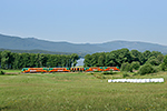 628 313-9