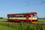 810 177-6