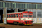 810 595-9
