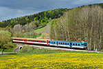 842 006-9, trať: 194 Nové Údolí - České Budějovice (Hořice na Šumavě), foceno: 13.05.2017