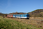 842 006-9, trať: 194 Černý Kříž - České Budějovice (Hořice na Šumavě), foceno: 12.11.2013