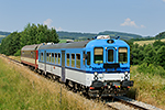 842 013-5, trať: 194 Černý Kříž - České Budějovice (Šebanov), foceno: 05.07.2015