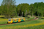 914 113-6, trať: 194 České Budějovice - Nové Údolí (Nová Pec), foceno: 27.05.2017