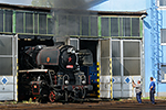 556 0506