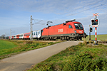 1116 093-6, trať: 196 Linz - Summerau - České Budějovice (Velešín), foceno: 01.11.2014