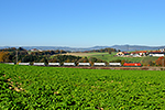 1116 095-1, trať: 196 Linz - Summerau (Untergaisbach), foceno: 31.10.2015