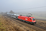 1116 105-8, trať: 196 Summerau - Linz (Waldburg), foceno: 30.01.2016