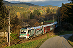 1116 130-6, trať: 196 Linz - Summerau - České Budějovice (Lest), foceno: 11.11.2015