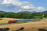 1116 156-1, trať: 196 Linz - Summerau - České Budějovice (Lest), foceno: 29.07.2016