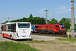 1116 156-1, trať: 196 Linz - Summerau - České Budějovice (Pregarten), foceno: 30.07.2016