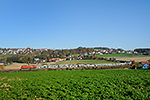 1116 175-1, trať: 196 Summerau - Linz (Untergaisbach), foceno: 31.10.2015