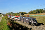 1116 182, Holzleiten (A)