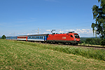 1116 252-8, trať: 196 České Budějovice - Summerau (Suchdol), foceno: 28.06.2014