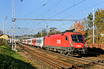 1116 264-3