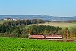 1142 595-6, Linz - Summerau (Untergaisbach), foceno: 31.10.2015