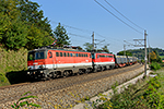 1142 647-7, Westbahn Wien - Linz (Edelhof), foceno: 28.09.2017