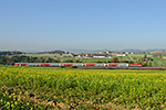 1142 667-5