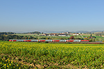 1142 667-5, Linz - Pregarten (Untergaisbach), foceno: 16.10.2017