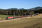 1144 009-8