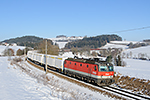 1144 121-1, Summerau - Linz (Waldburg), foceno: 22.01.2016