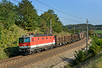 1144 202-9, WestBahn Wien - Linz (Edelhof), foceno: 28.09.2017