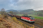 1144 219-3, Summerau - Linz (Waldburg), foceno: 07.11.2015