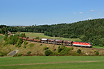 1144 229-2, Summerau - Linz (Semmelbauer), foceno: 29.08.2015