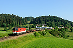 1144 229-2, Summerau - Linz (Semmelbauer), foceno: 12.06.2015