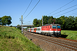1144 244-1