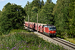 1293 177-2