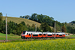 Cityjet 4744 036-6
