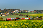 8073 222-6, trať: Pregarten - Linz (Untergaisbach), foceno: 16.10.2017